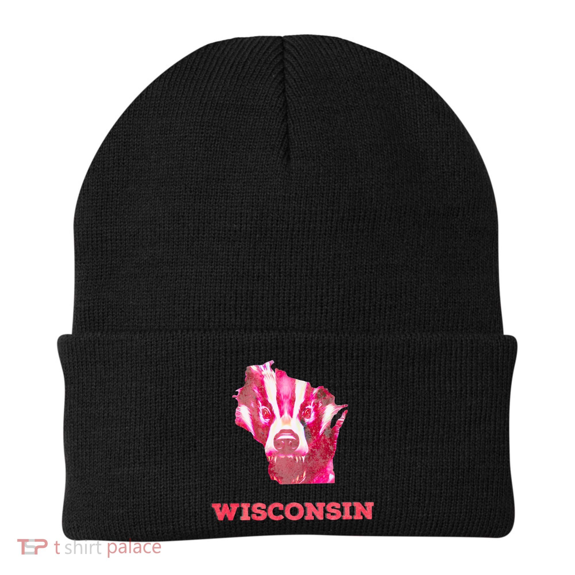 Wisconsin Beanie