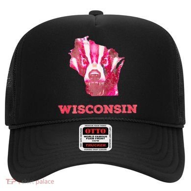 Wisconsin Hat
