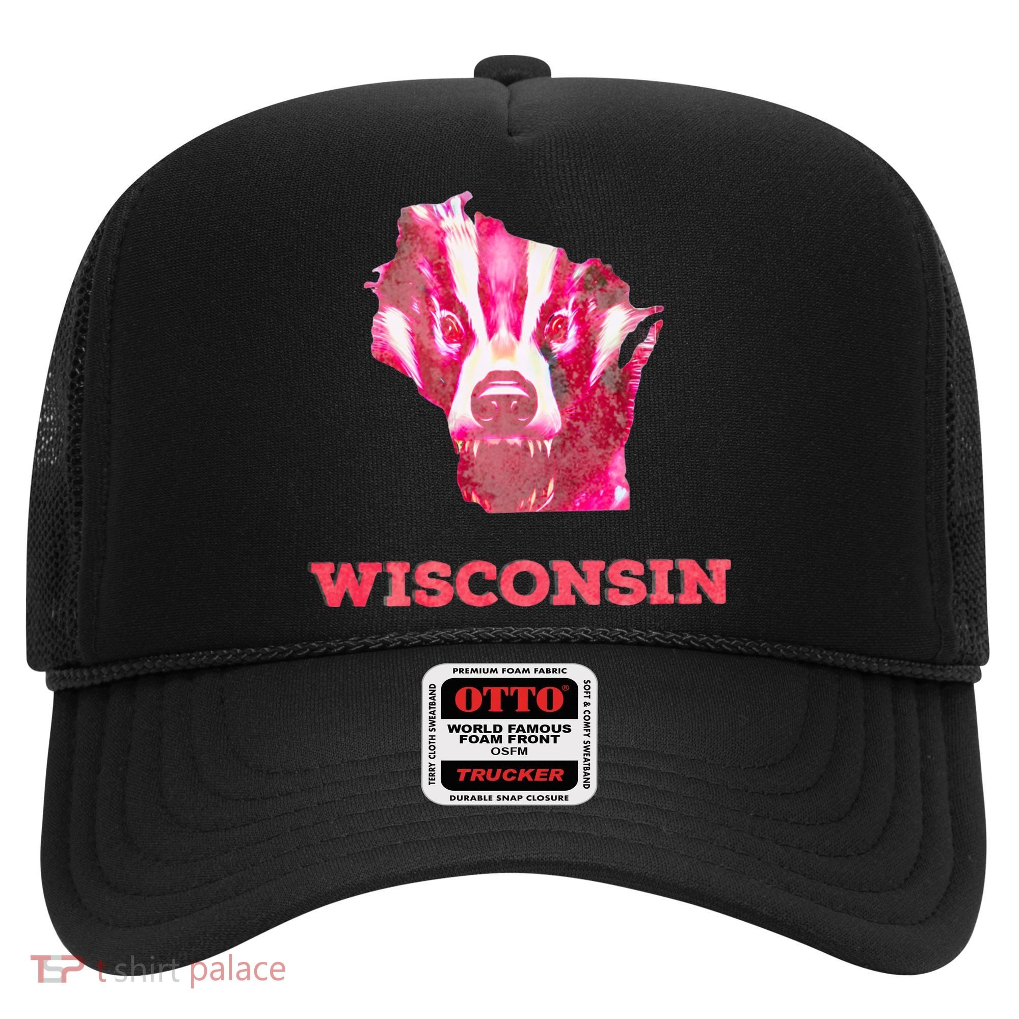Wisconsin Hat
