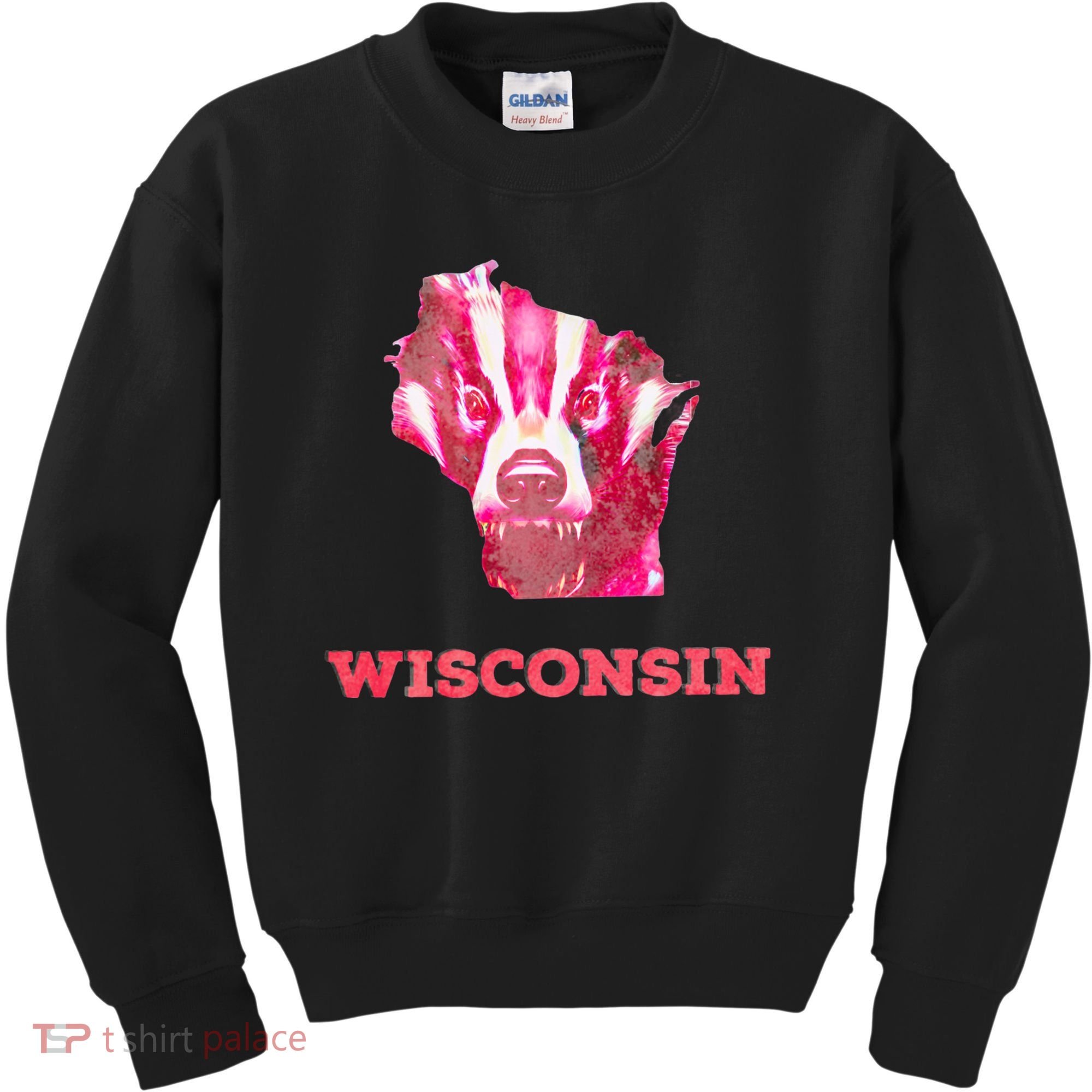 Wisconsin Kids Sweatshirt