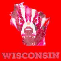 Wisconsin Santa Hat thumb 1