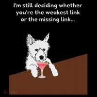 Westie “Weakest Or Missing Link” Insult Graphic Bucket Hat thumb 4