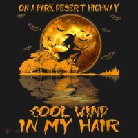 Women Witch Riding Brooms On A Dark Desert Highways Halloween Ornament thumb 1