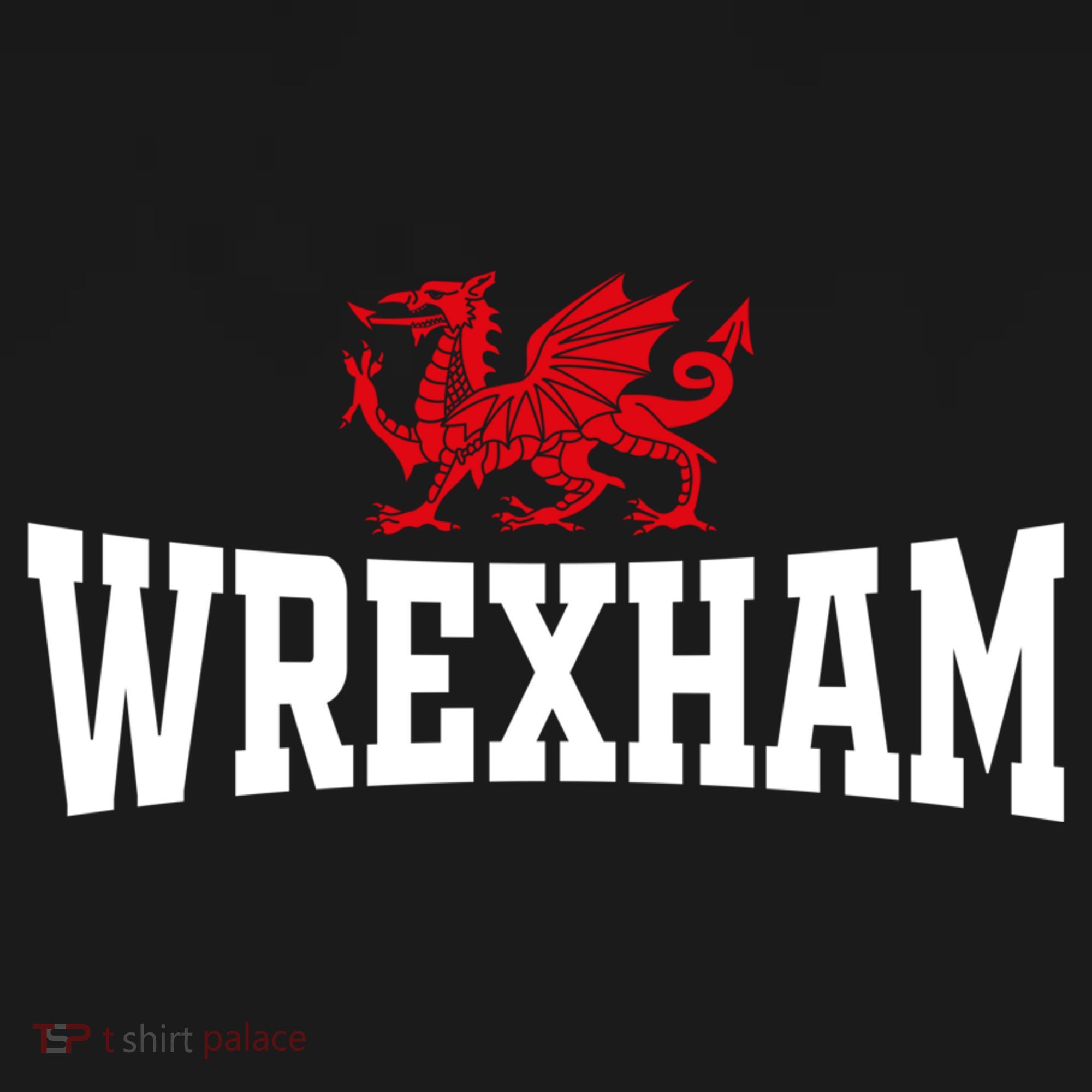 Wrexham Wales Red Dragon Wrecsam Backpack