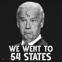 We Went To 54 States Joe Biden Loading Anti Biden Funny Ornament thumb 1