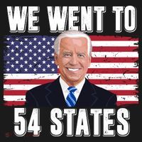 We Went To 54 States USA Flag Joe Biden Funny Ornament thumb 1