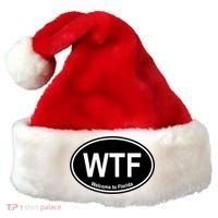 Wtf Welcome To Florida Santa Hat thumb 0