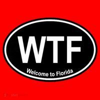 Wtf Welcome To Florida Santa Hat thumb 1