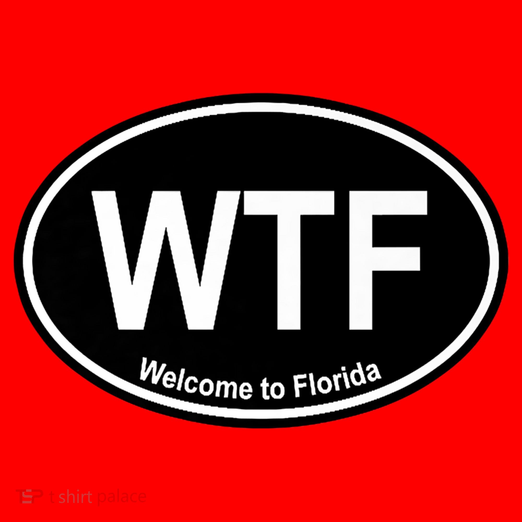 Wtf Welcome To Florida Santa Hat