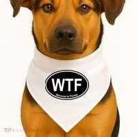 Wtf Welcome To Florida USA-Made Doggie Bandana thumb 1