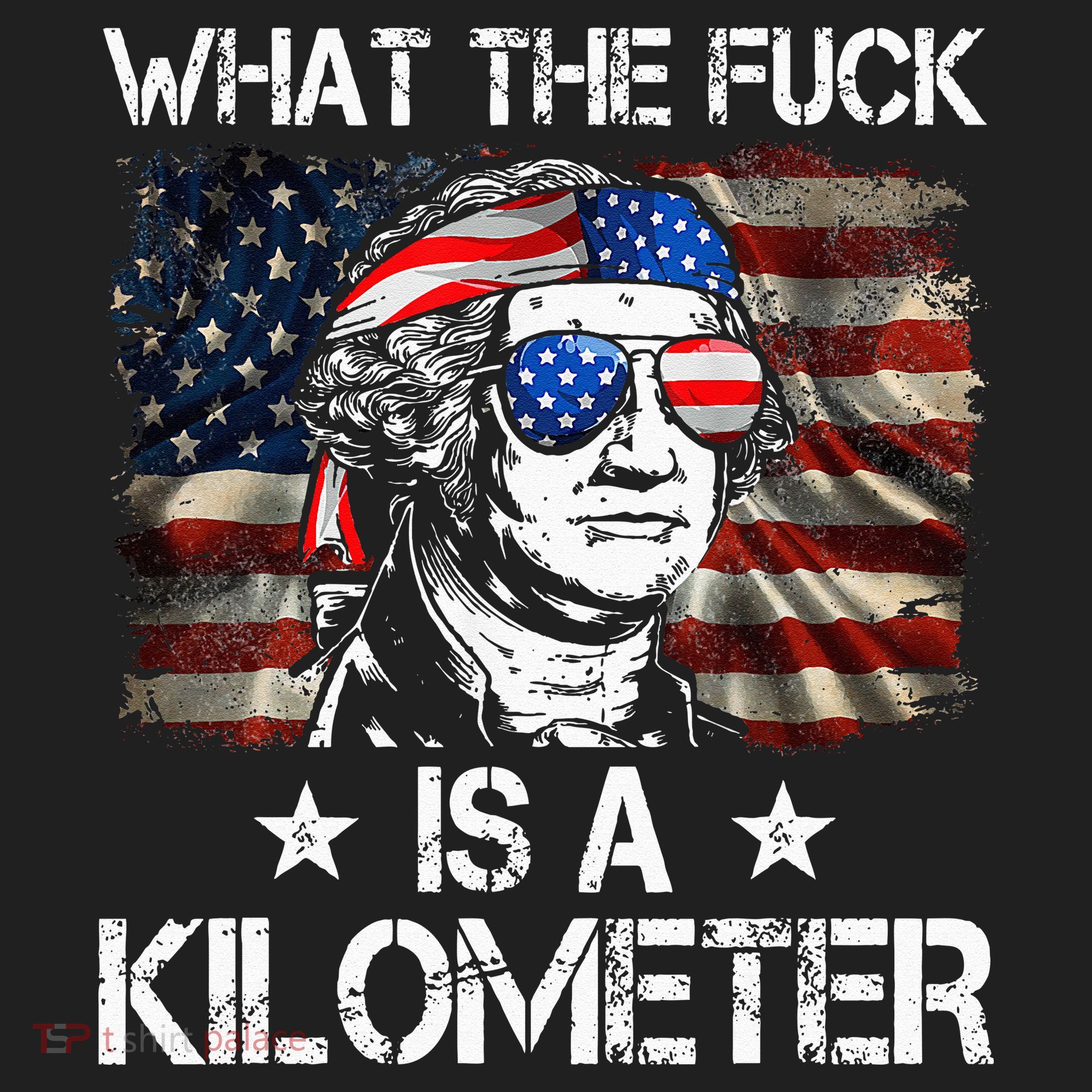Wtf What The Fuck Is A Kilometer George Washington 4th July Beanie