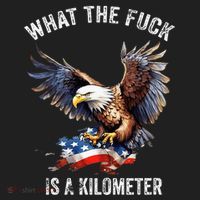 Wtf What The Fu.K Is A Kilometer George Washington Beanie thumb 2