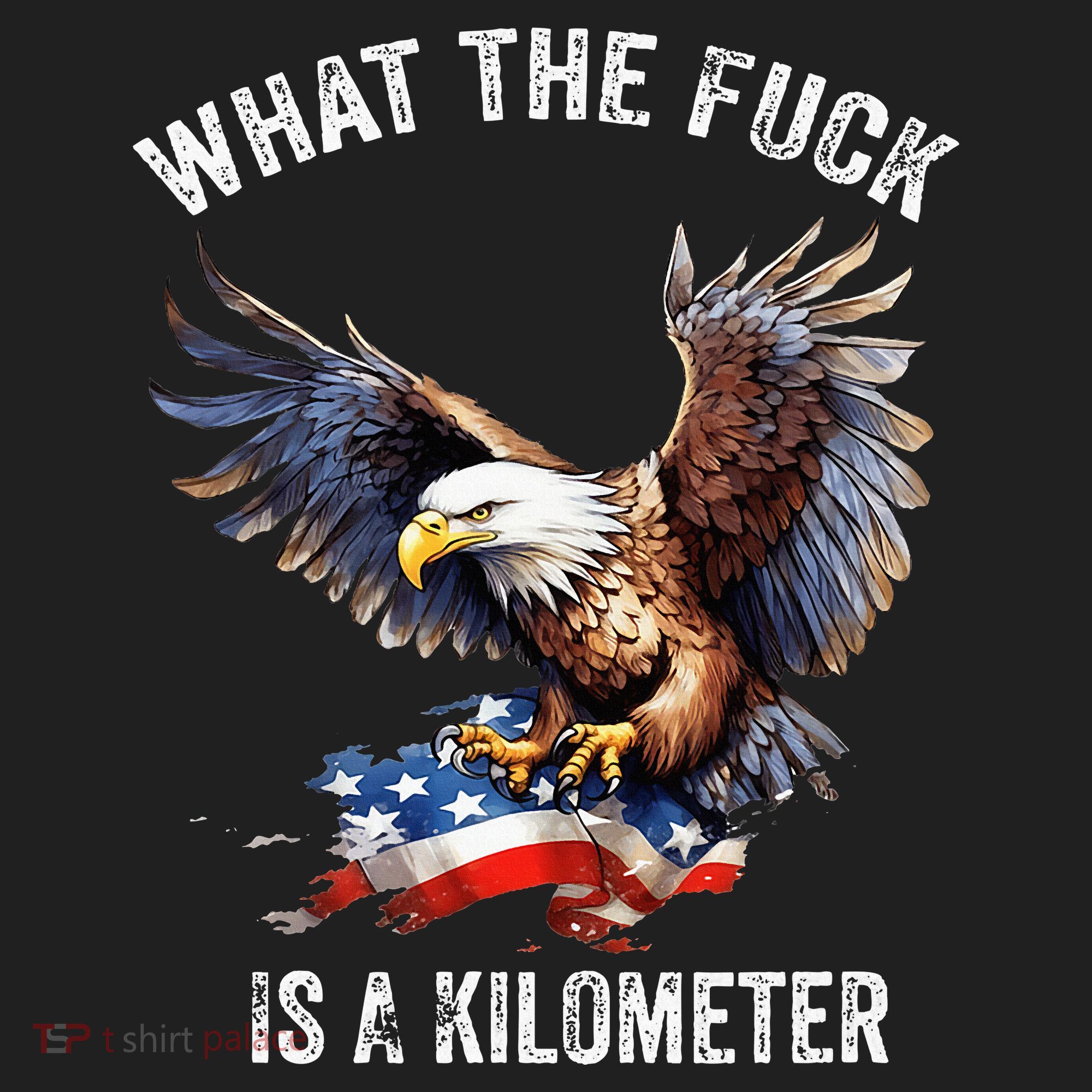 Wtf What The Fu.K Is A Kilometer George Washington Hat