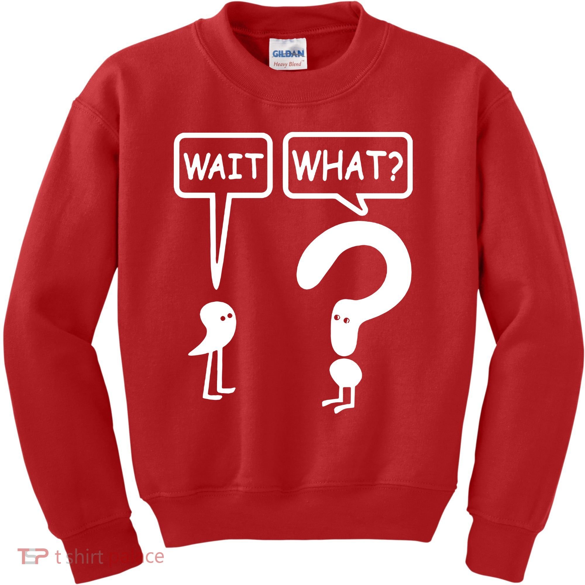 Wait What Kids Sweatshirt