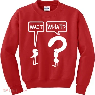 Wait What Kids Sweatshirt
