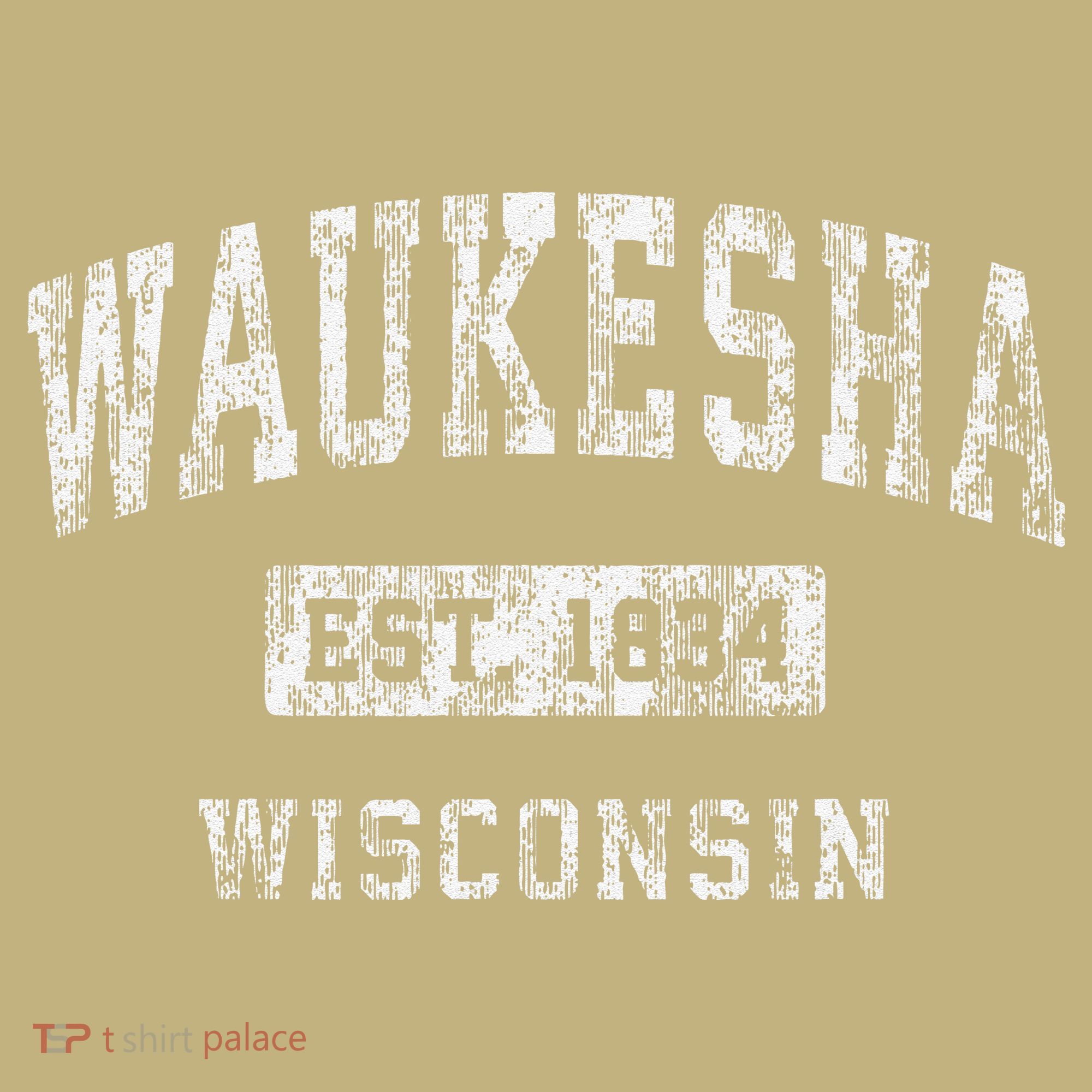 Waukesha Wisconsin Wi Vintage Established T-Shirt