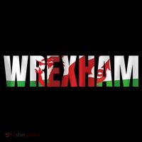 Wrexham Wales Welsh Dragon Flag Women's Long Sleeve Shirt thumb 2