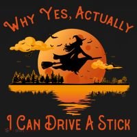 Why Yes Actually I Can Drive A Stick - Funny Halloween Witch Sweatshirt thumb 3