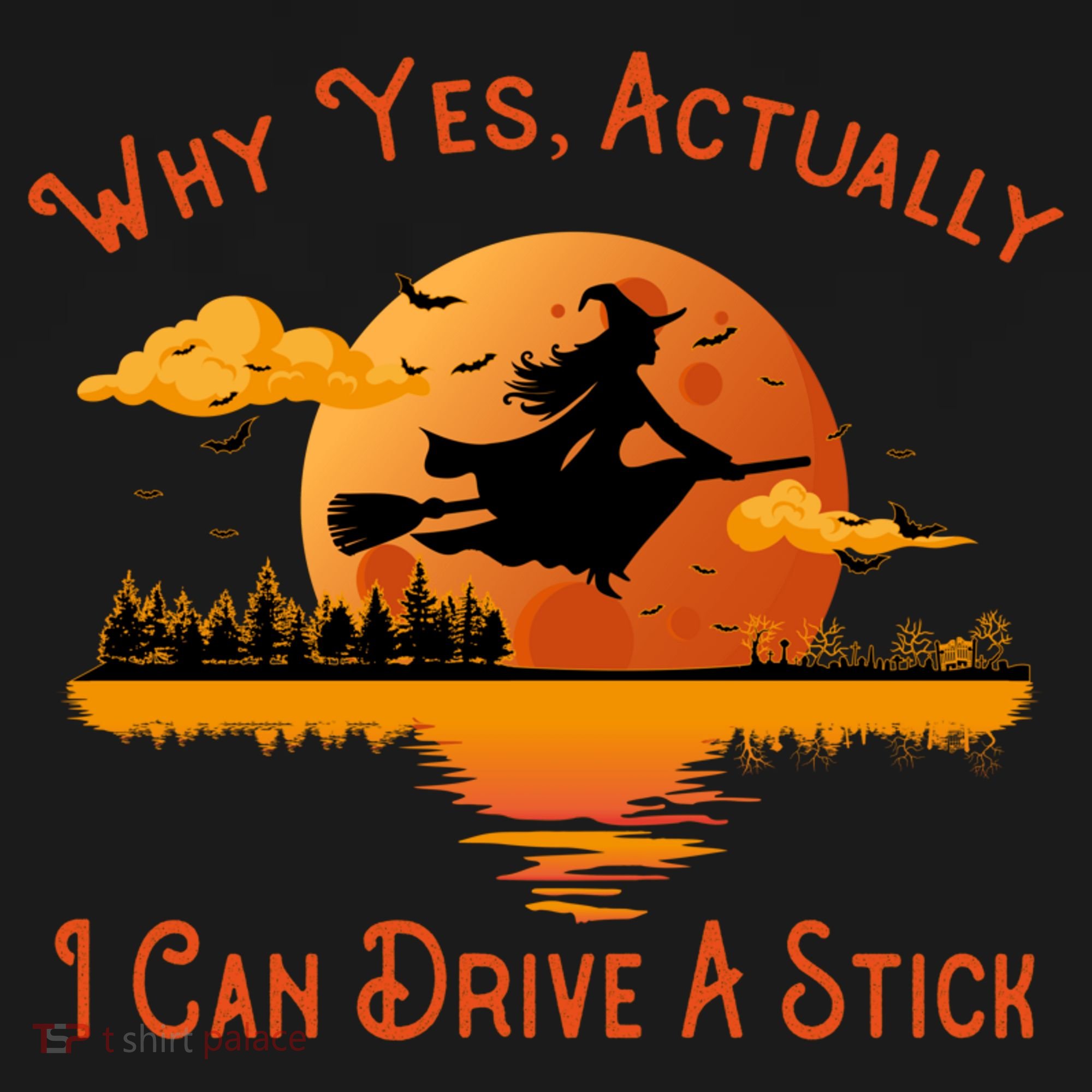 Why Yes Actually I Can Drive A Stick - Funny Halloween Witch Sweatshirt