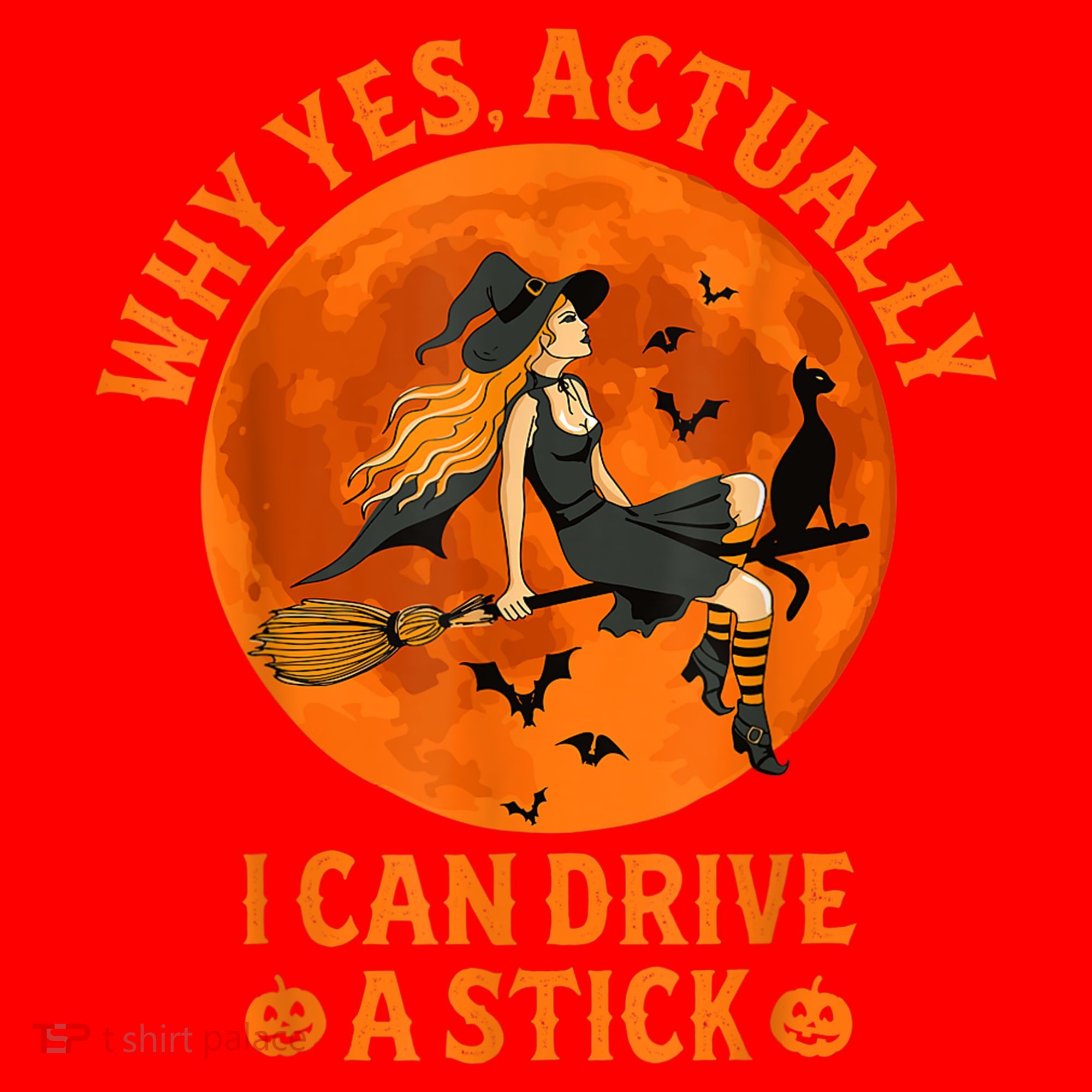 Why Yes Actually I Can Drive A Stick Funny Witch Costume Santa Hat