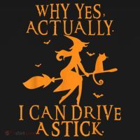 Why Yes Actually I Can Drive A Stick Halloween Witch & Cat Ornament thumb 1