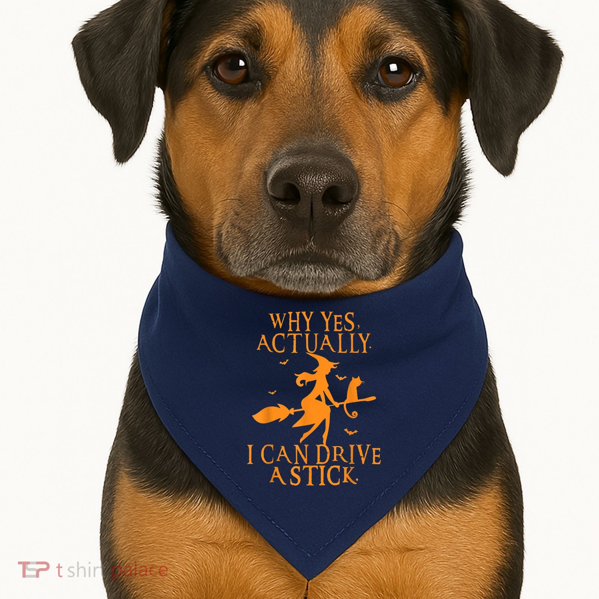 Why Yes Actually I Can Drive A Stick Halloween Witch & Cat USA-Made Doggie Bandana