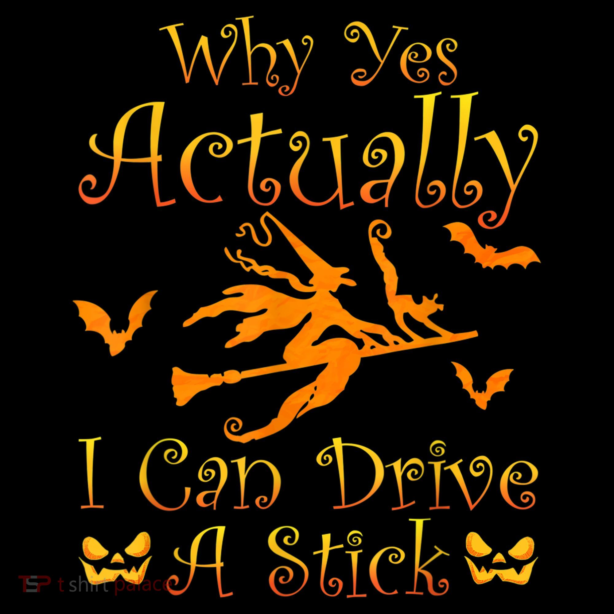 Why Yes Actually I Can Drive A Stick Funny Witch Costume Women's Hoodie