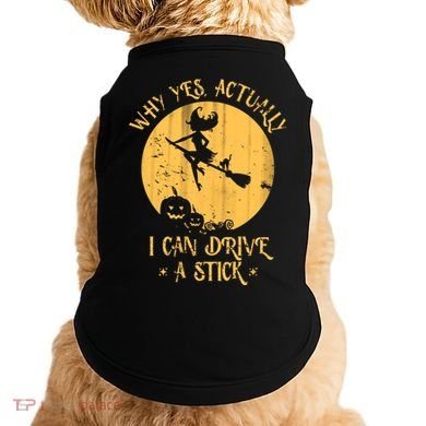 Why Yes Actually I Can Drive A Stick Doggie Tank