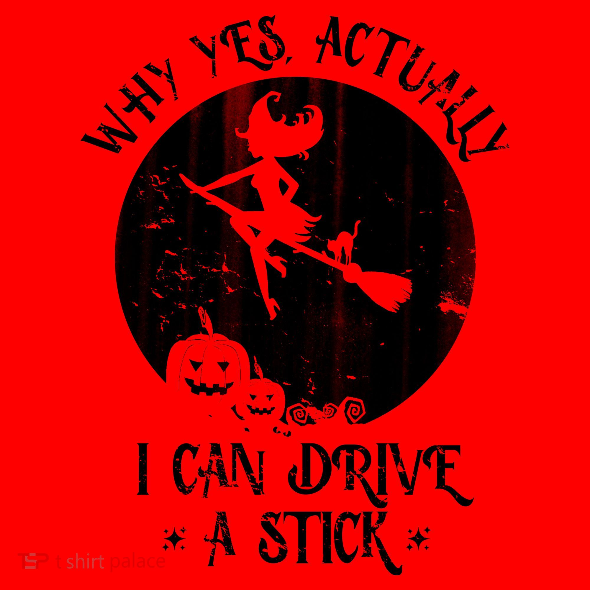 Why Yes Actually I Can Drive A Stick Santa Hat