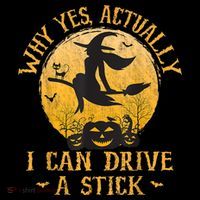 Why Yes Actually I Can Drive A Stick Ornament thumb 1