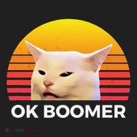 Woman Yelling At Table Dinner Funny Cat Ok Boomer Hat thumb 2