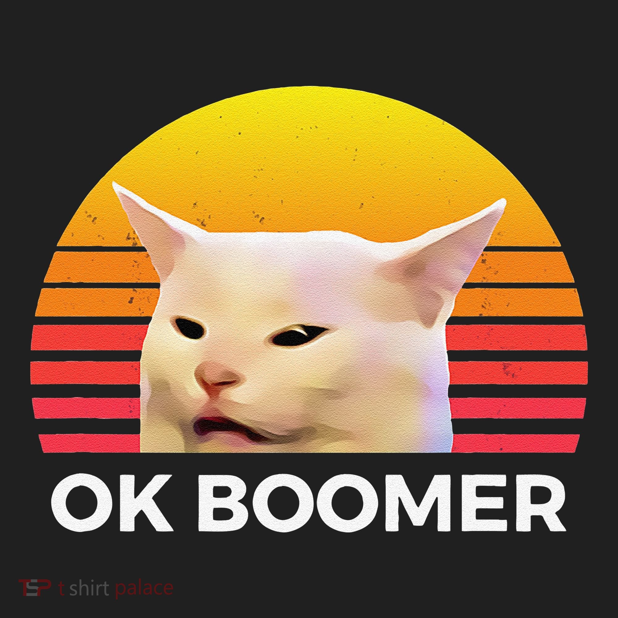 Woman Yelling At Table Dinner Funny Cat Ok Boomer Hat