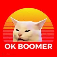 Woman Yelling At Table Dinner Funny Cat Ok Boomer Santa Hat thumb 1