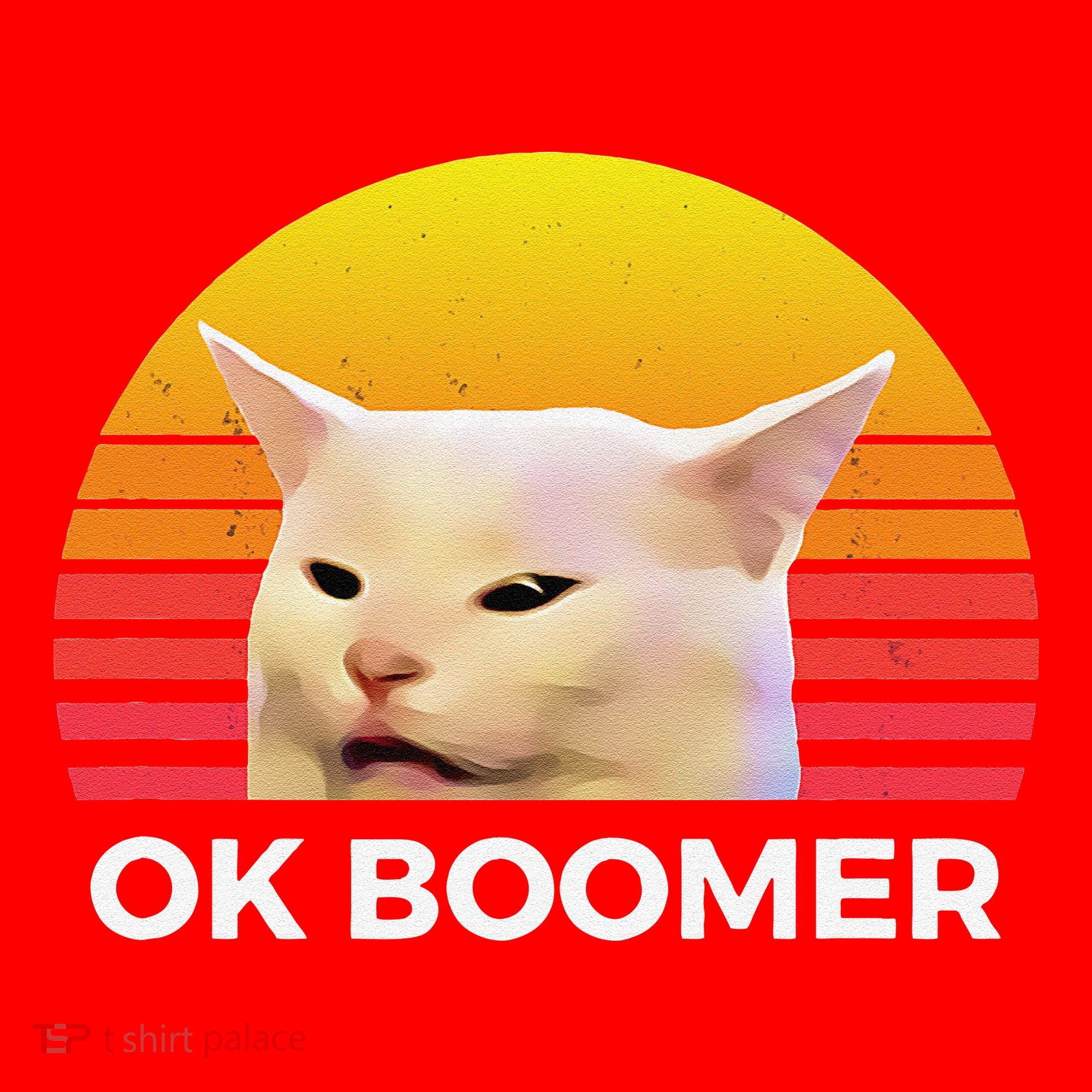 Woman Yelling At Table Dinner Funny Cat Ok Boomer Santa Hat