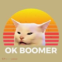 Woman Yelling At Table Dinner Funny Cat Ok Boomer T-Shirt thumb 7