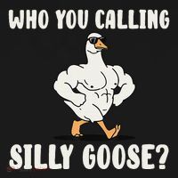 Who You Calling Silly Goose Funny Gym Meme Women's Hoodie thumb 2