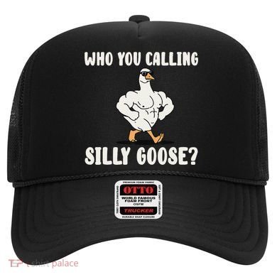 Who You Calling Silly Goose Funny Gym Meme Hat