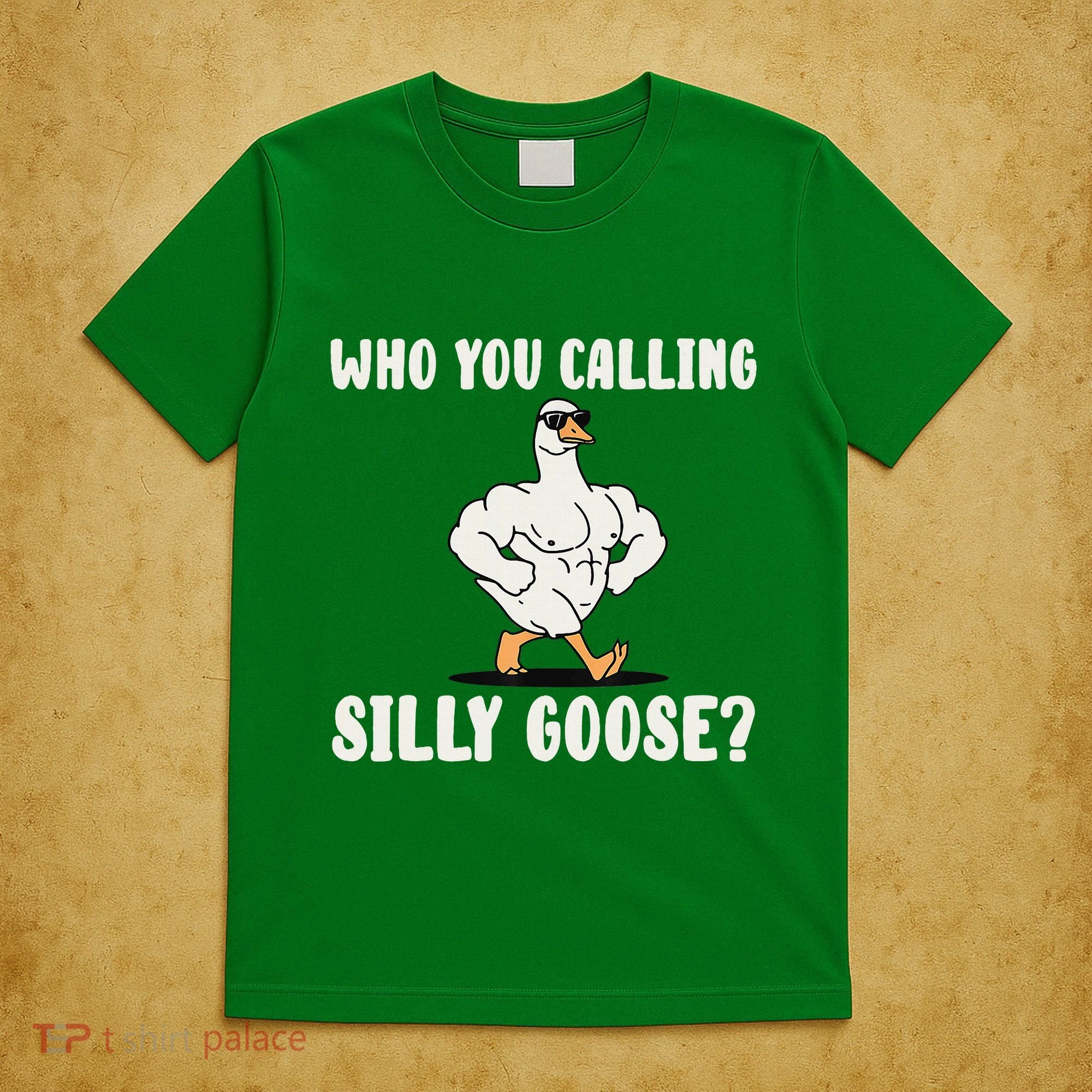 Who You Calling Silly Goose Funny Gym Meme T-Shirt