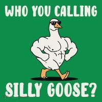 Who You Calling Silly Goose Funny Gym Meme Mousepad thumb 1