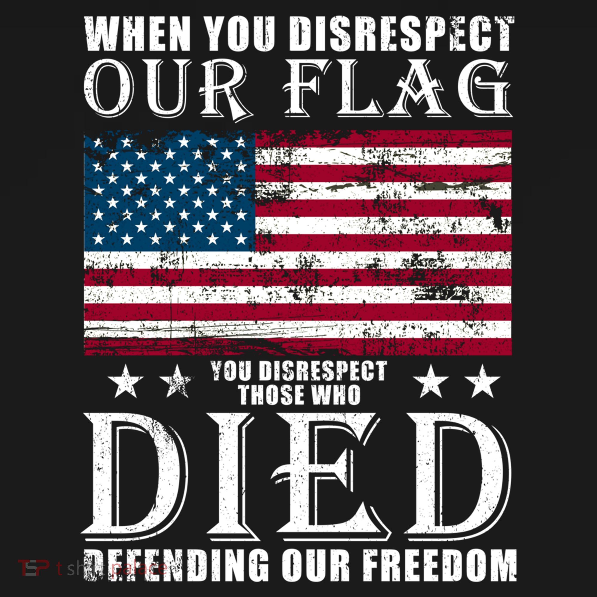 When You Disrespect Our Flag Veteran Memorial Day Gift T-Shirt