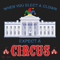 When You Elect A Clown Expect A Circus Anti Trump Beanie thumb 2