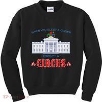 When You Elect A Clown Expect A Circus Anti Trump Kids Sweatshirt thumb 0