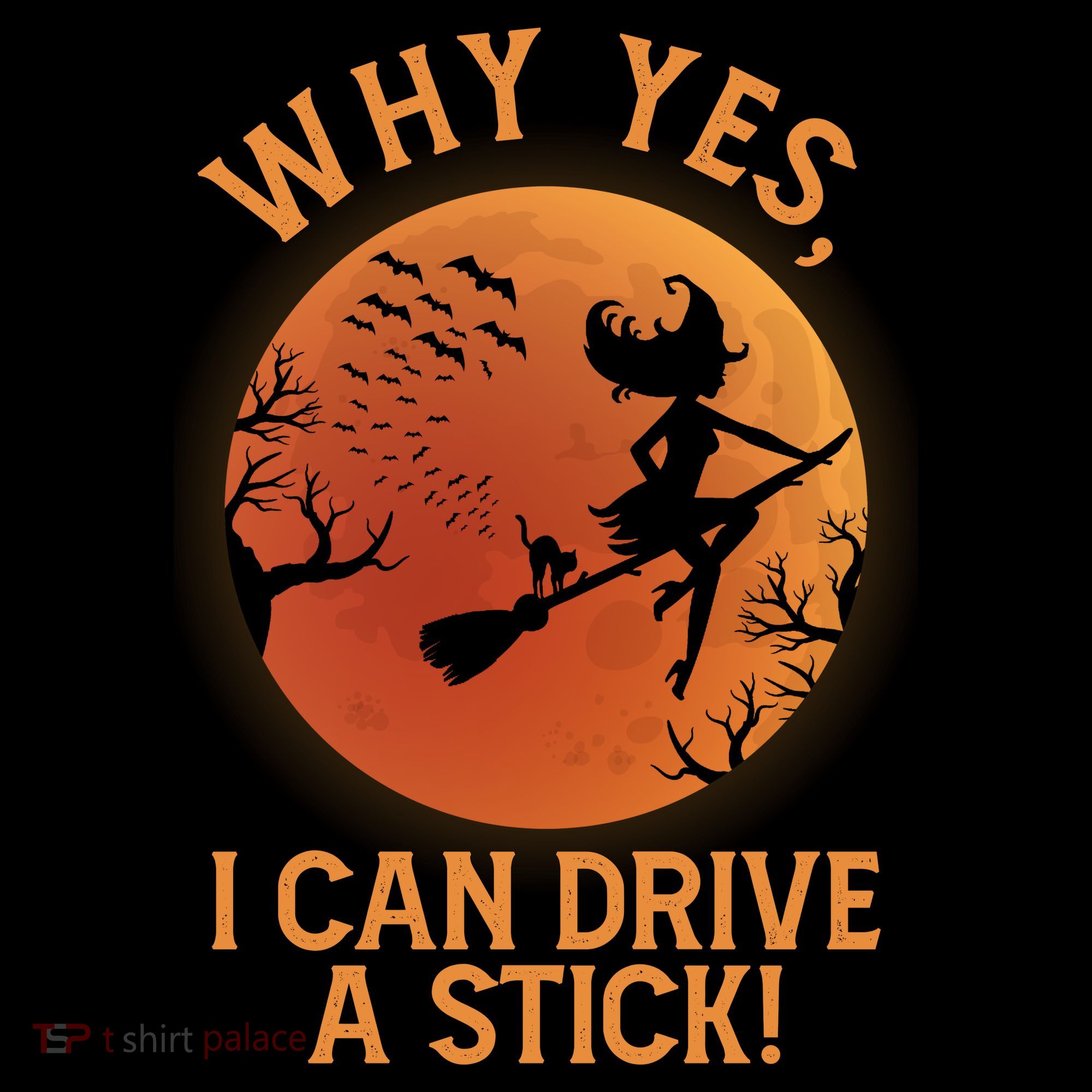 Why Yes I Can Drive A Stick Funny Halloween Witch Women's Hoodie