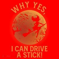 Why Yes I Can Drive A Stick Funny Halloween Witch Santa Hat thumb 1