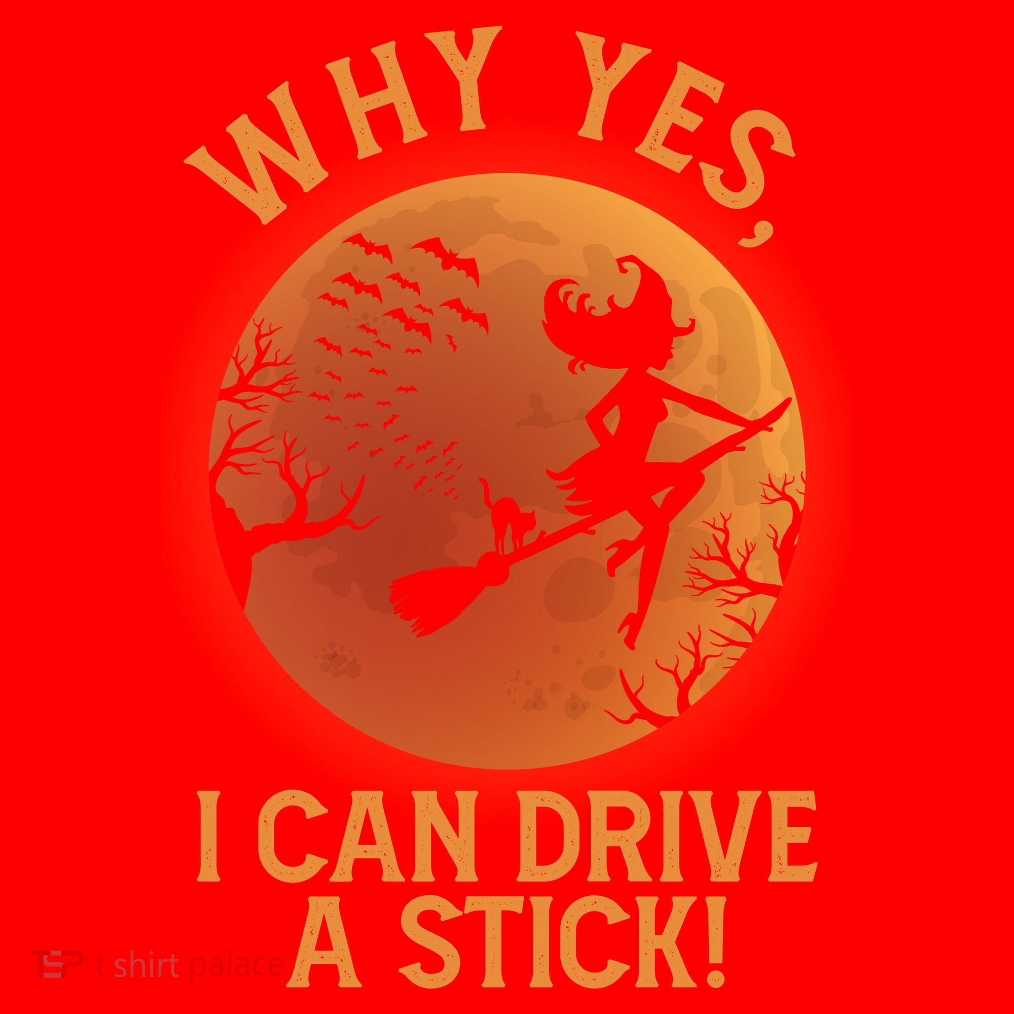 Why Yes I Can Drive A Stick Funny Halloween Witch Santa Hat