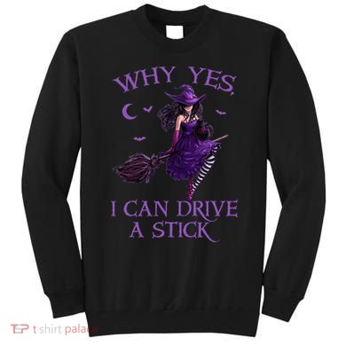 Why Yes I Can Drive A Stick Funny Halloween Witch Women Girl Sweatshirt