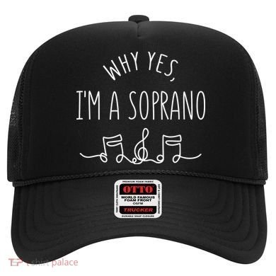 Why Yes I'm A Sopranino Musical Hat