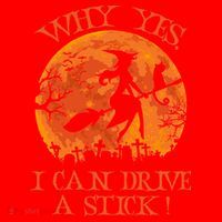 Why Yes I Drive A Stick Halloween Witch Santa Hat thumb 1