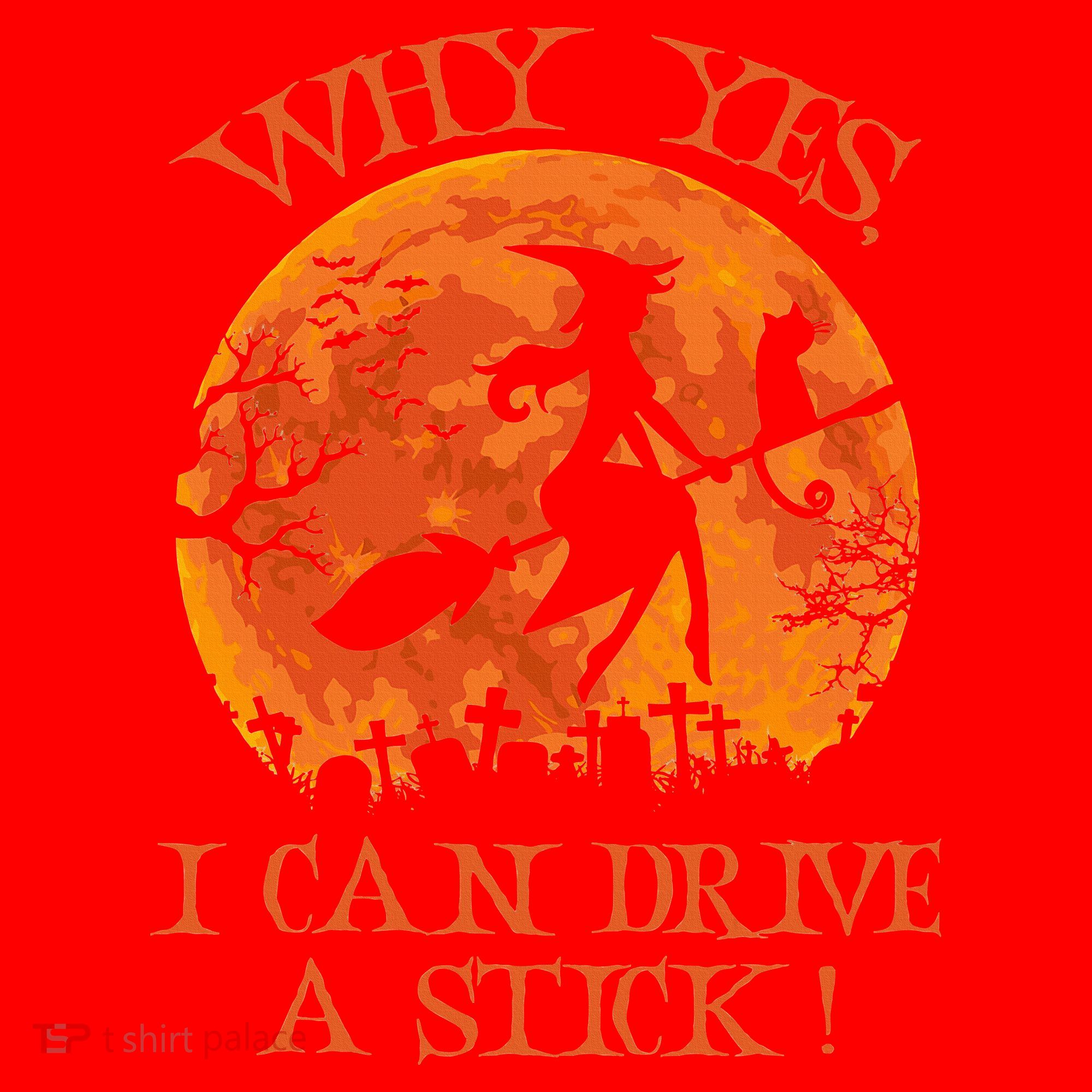 Why Yes I Drive A Stick Halloween Witch Santa Hat