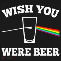 Wish You Were Beer Women's T-Shirt thumb 6